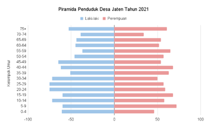Piramida Penduduk 2021