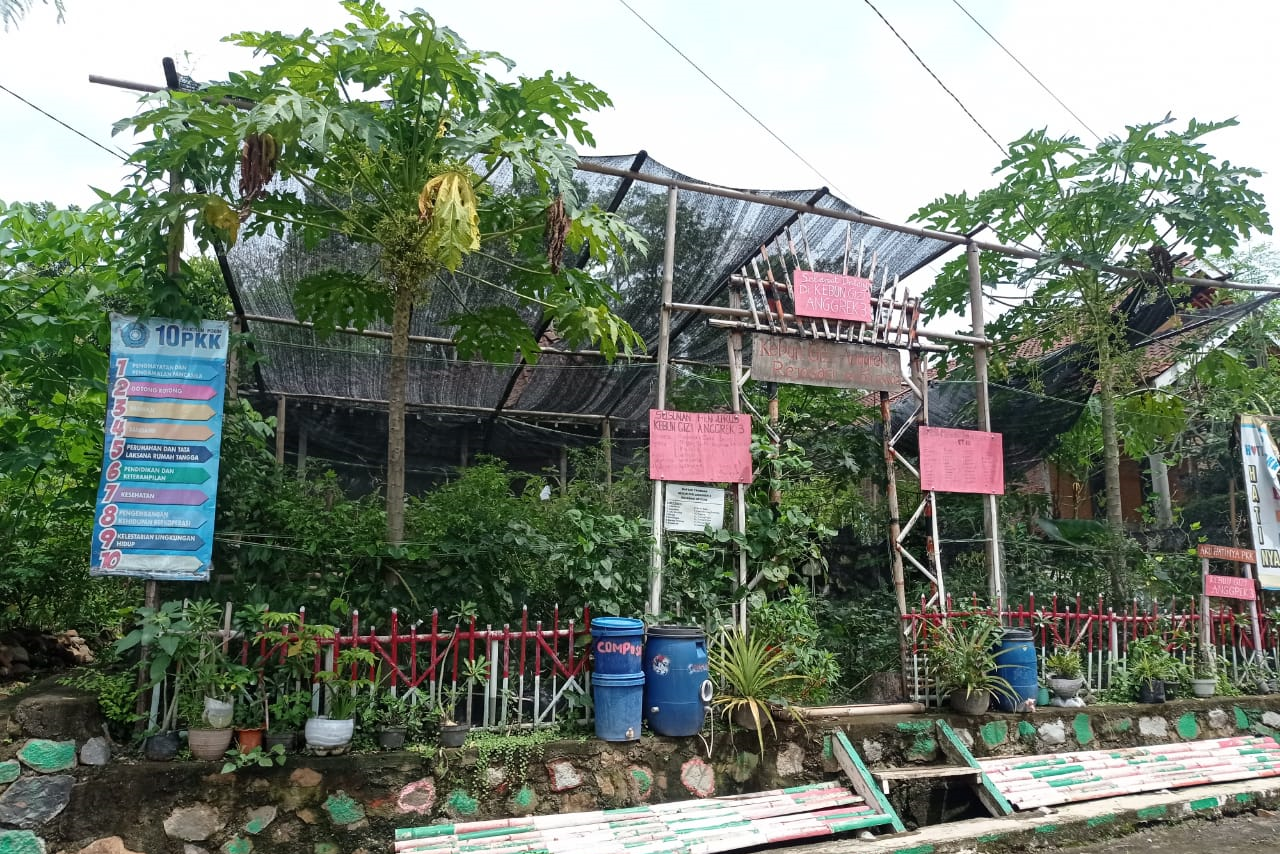 Kebun Gizi Dukuh Rejosari